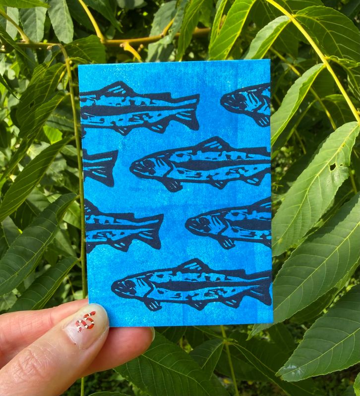 River Trout aceo art card
