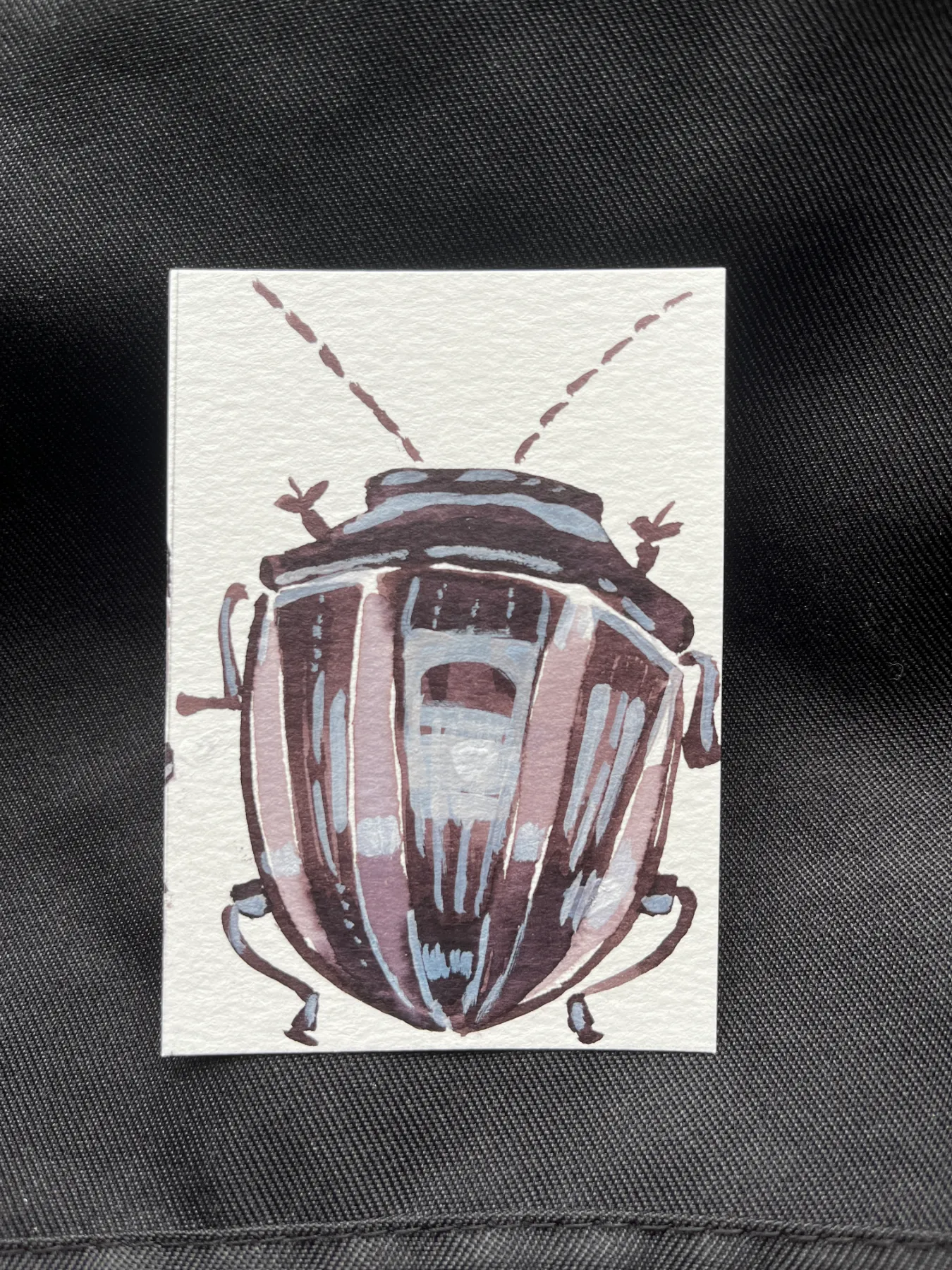 ACEO Original Beetle Insect Bug Striped Watercolor by MthrBored Artist Artwork Trading Card aceo art card