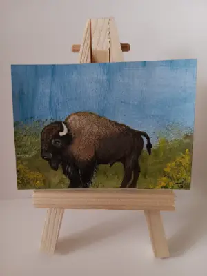 Original ACEO Buffalo / Bison Signed & Numbered aceo art card thumbnail 1