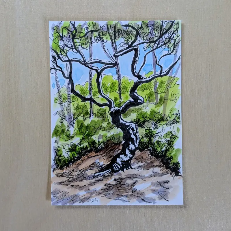Twisty Trunk aceo art card