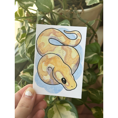 Original Banana Ball Pytho aceo art card thumbnail 2