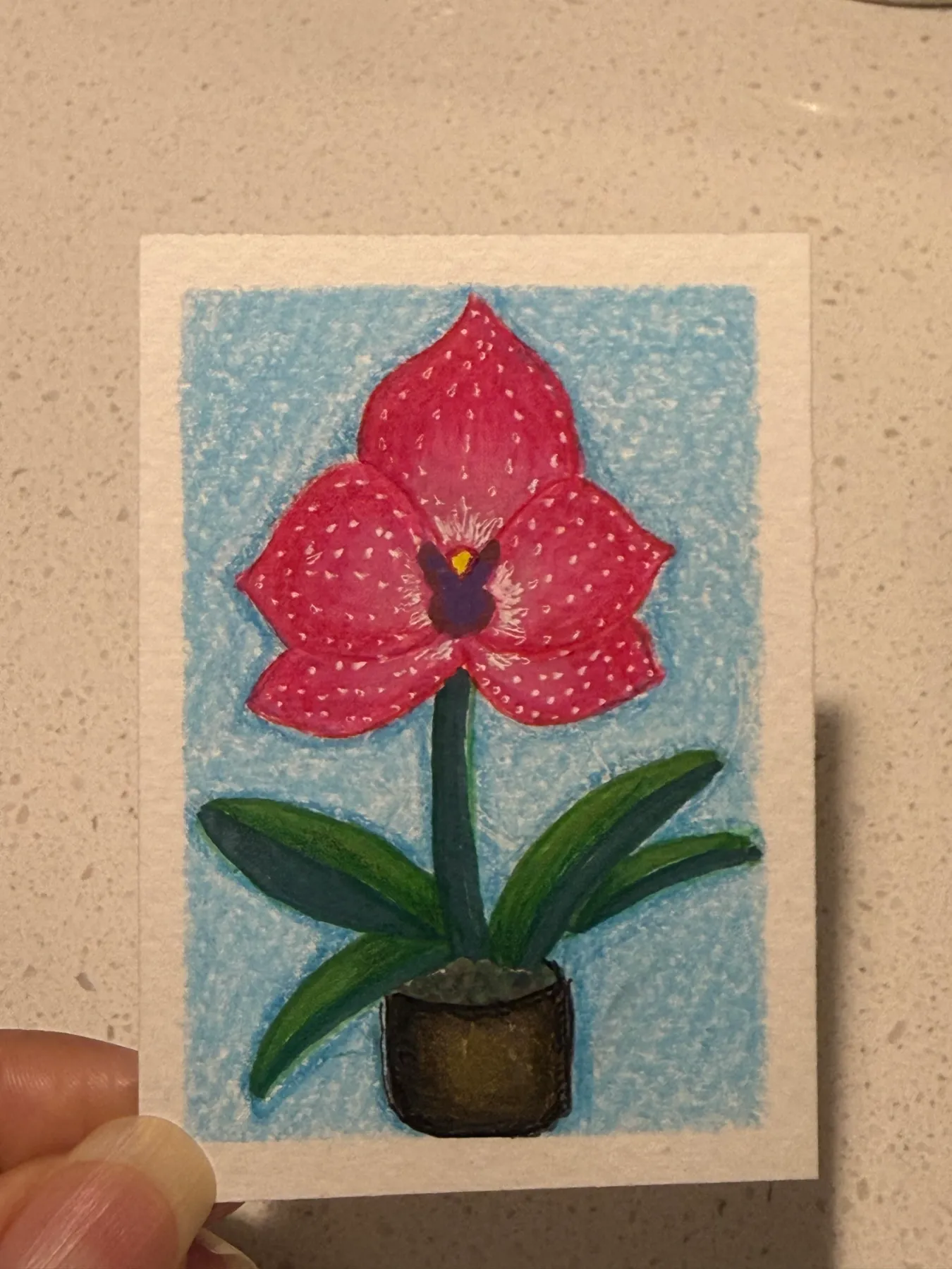 Open Orchid aceo art card
