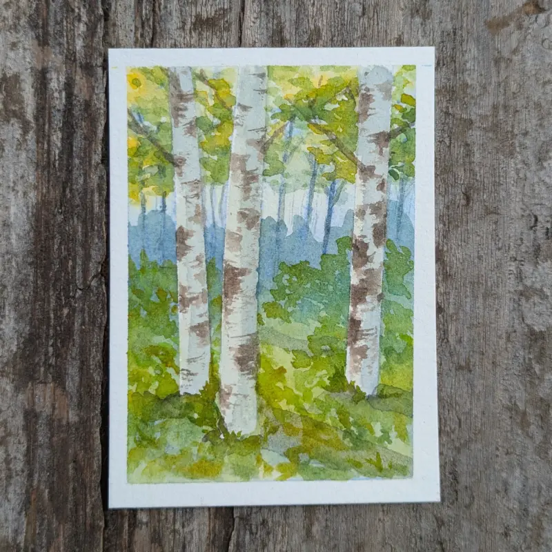 Birch Forest #5 aceo art card