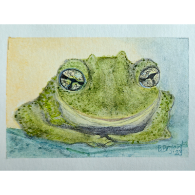Happy Toad aceo art card thumbnail 2