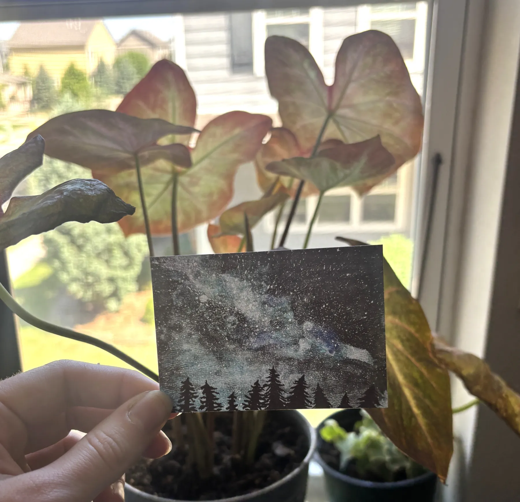 Milky Way over Pine Trees Stars Galaxy Sky View2.5x3.5 in. SIGNED PRINT aceo art card