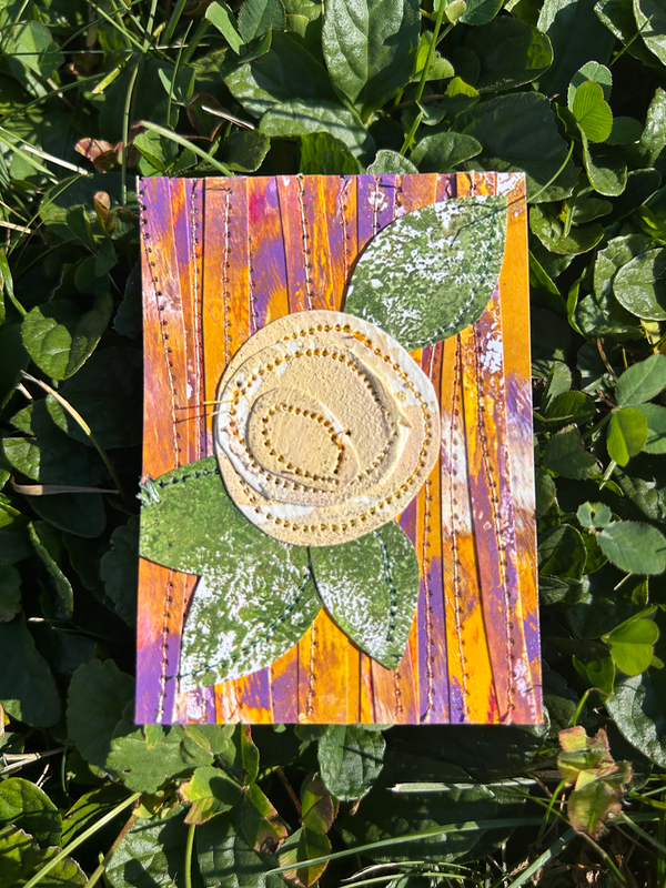 Blooming ranunculus flower aceo art card