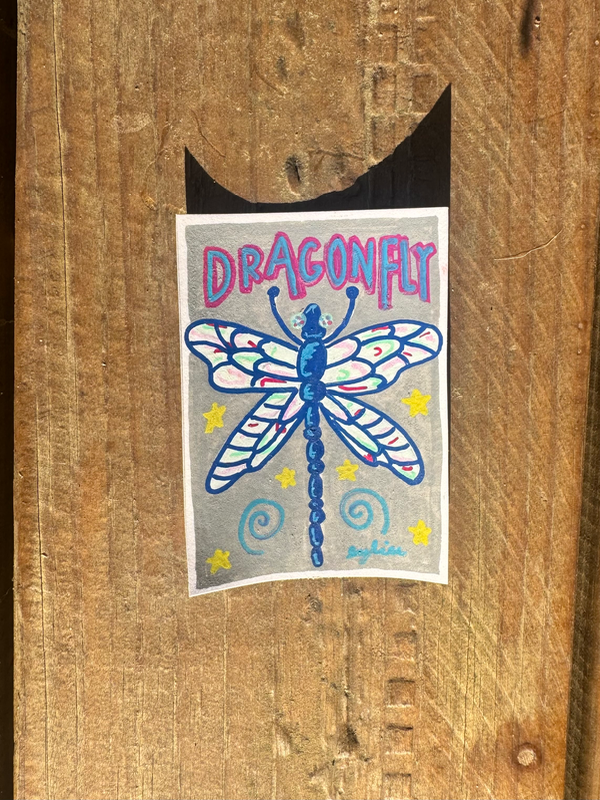 The Garden Lurkers: Dragonfly aceo art card