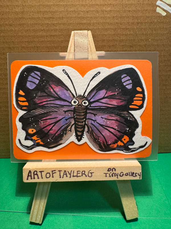 Hypaurotis Crysalus aceo art card