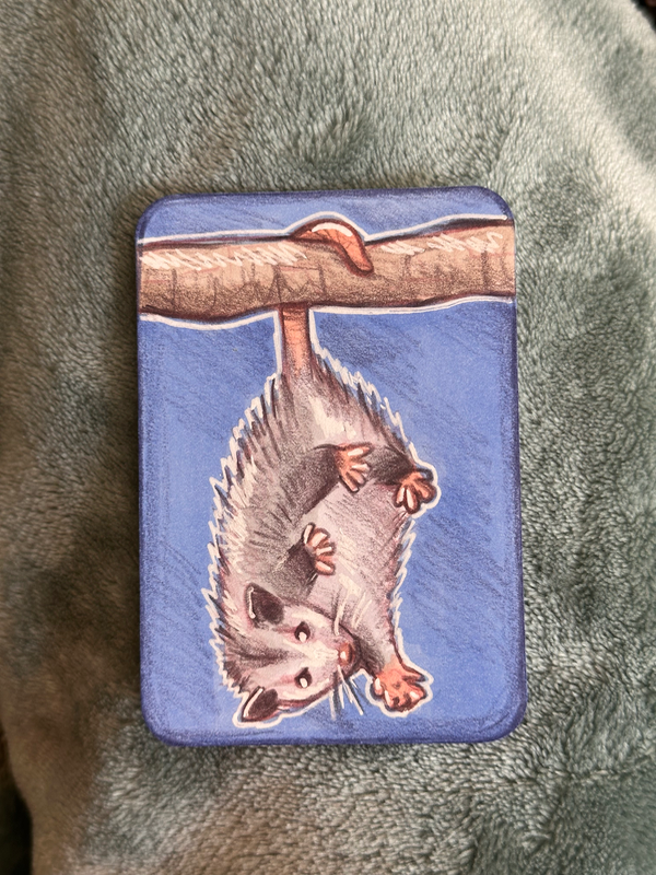 Baby Opossum aceo art card