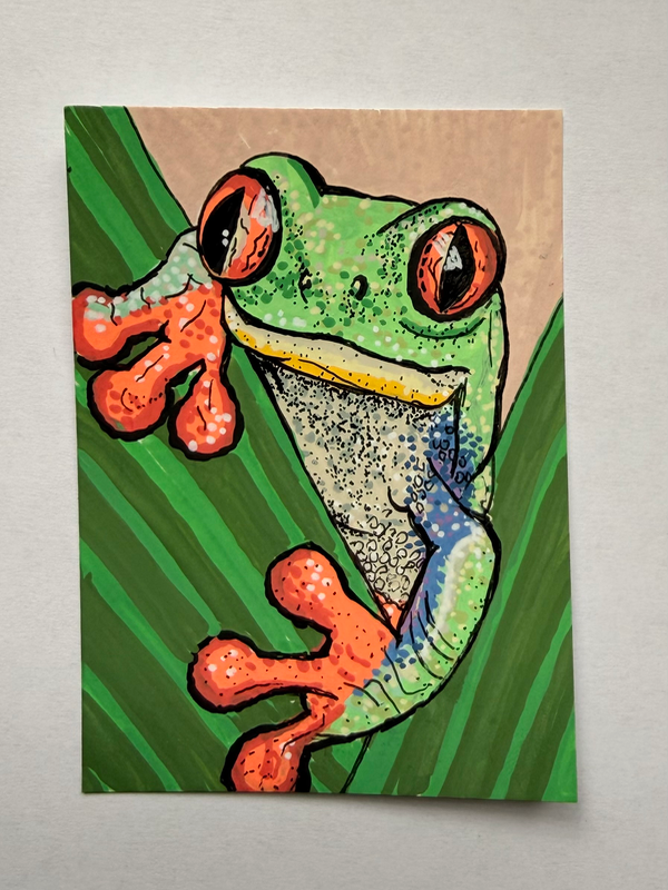 Tree frog aceo art card