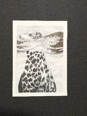 Surfacing aceo art card thumbnail 1
