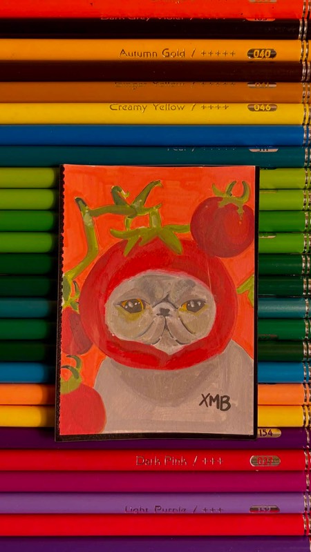 ACEO Cat with Tomato Hat | Cat x Fruit Series 4/5 | 2.5x3.5 aceo art card
