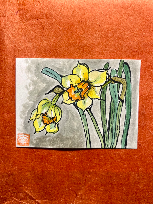 Daffodils #2 aceo art card