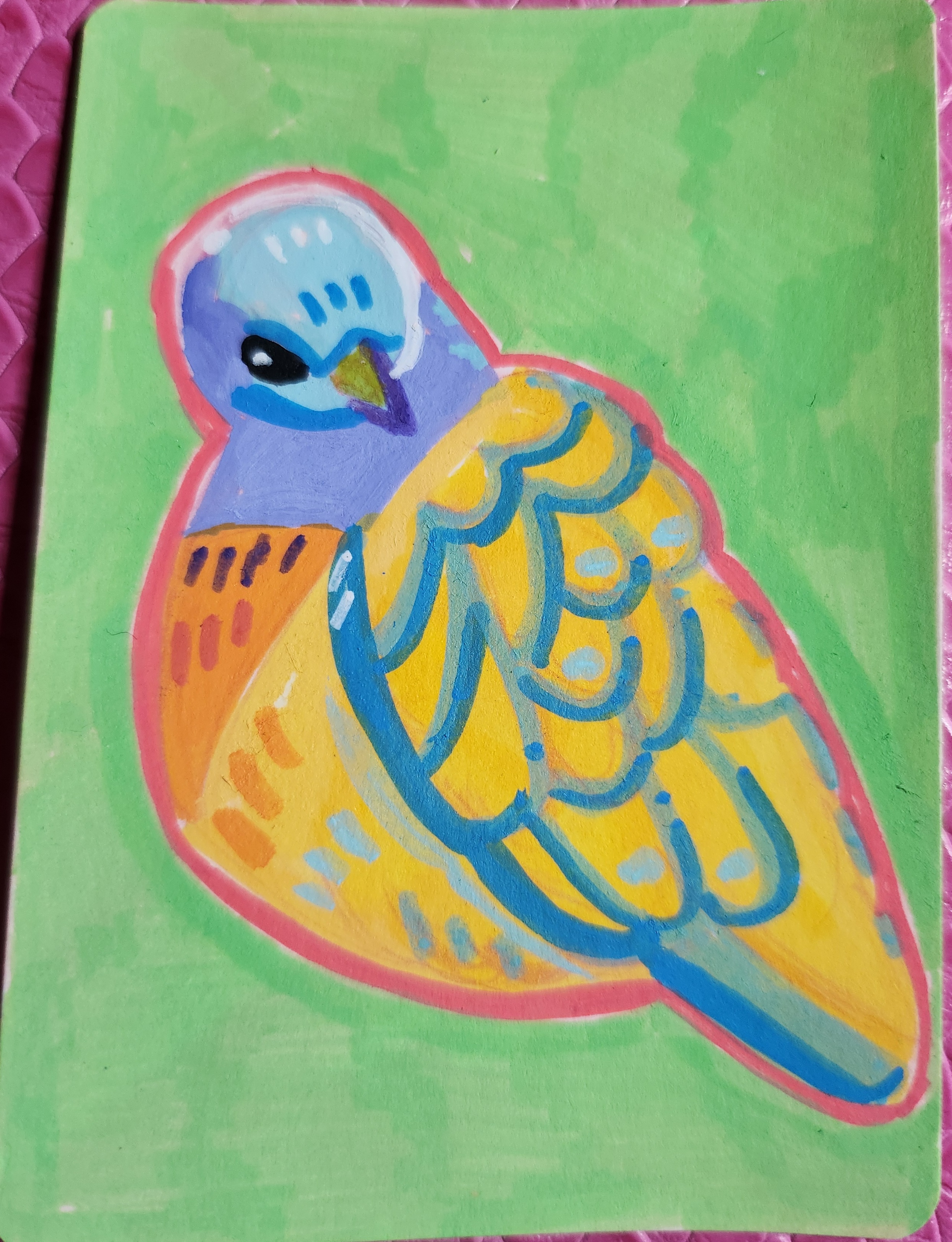 pink necked green pigeon aceo art card