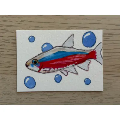 Cardinal Tetra aceo art card thumbnail 1