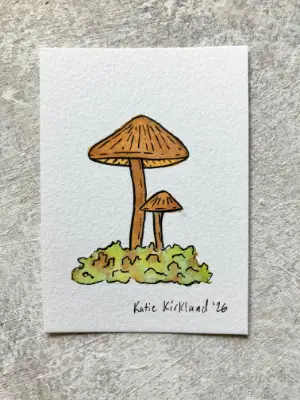 Orange-Brown Mushrooms and Moss - Gouache and Ink Illustration aceo art card thumbnail 2
