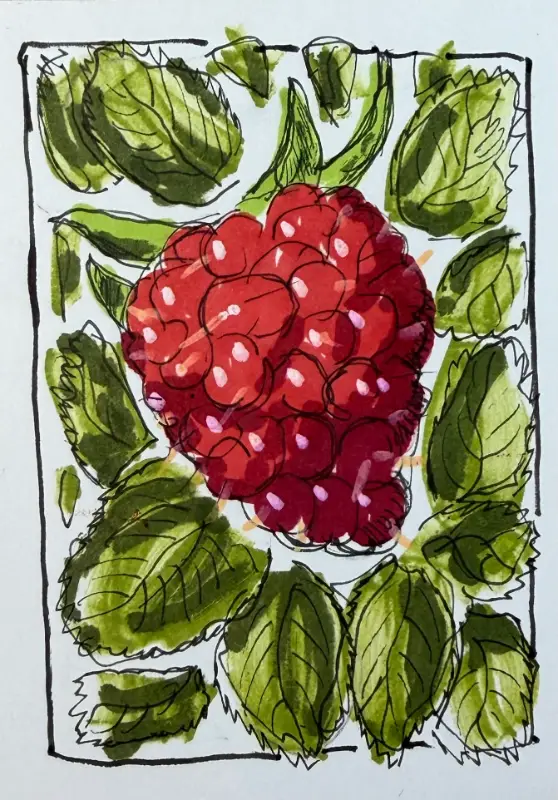 Rasberry aceo art card