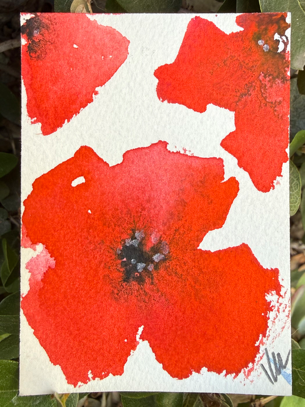 Poppies! Poppies! aceo art card
