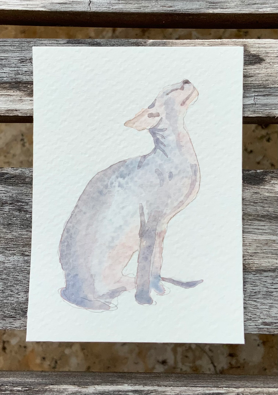 Watercolor cat “Donskoy” aceo art card