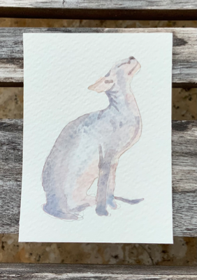 Watercolor cat “Donskoy” aceo art card thumbnail 1