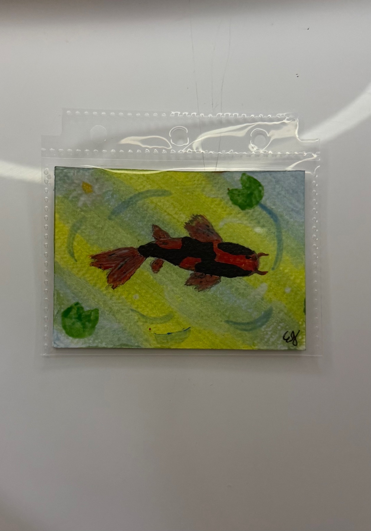 Hi Utsuri Koi - Love & Reflection aceo art card