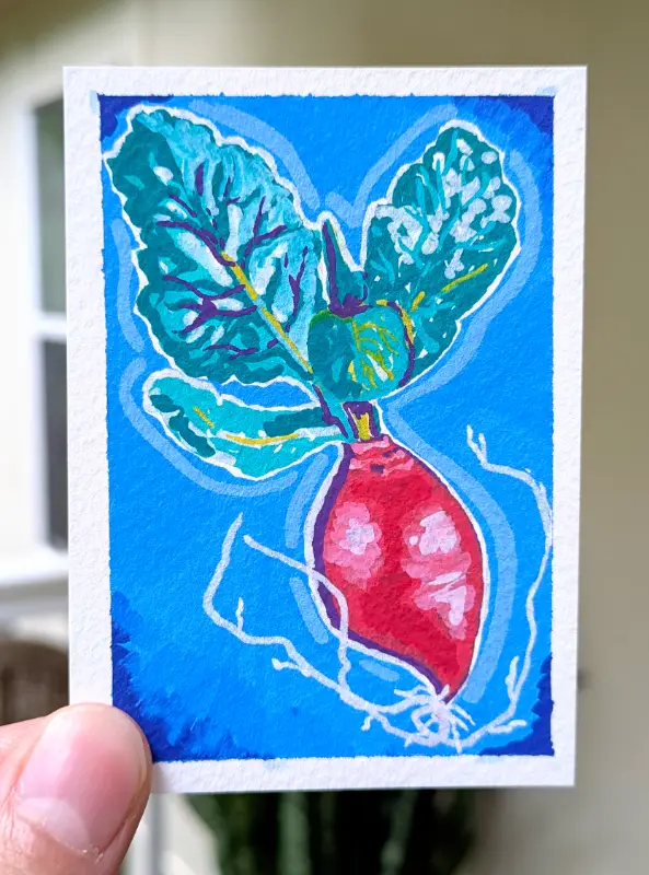 Radish aceo art card