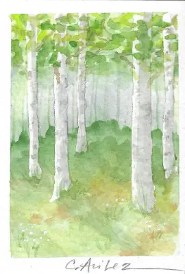 ACEO Original Watercolor Birch Trees aceo art card thumbnail 2