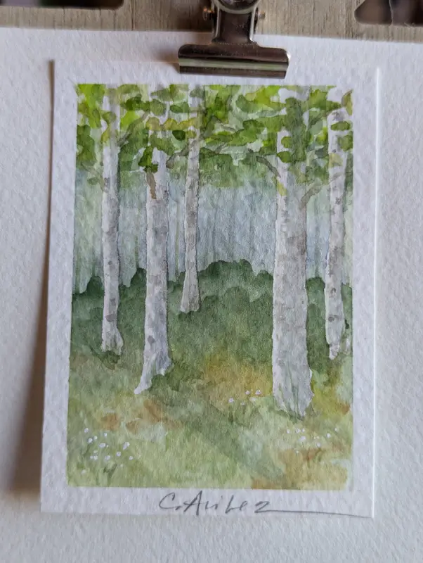 ACEO Original Watercolor Birch Trees aceo art card