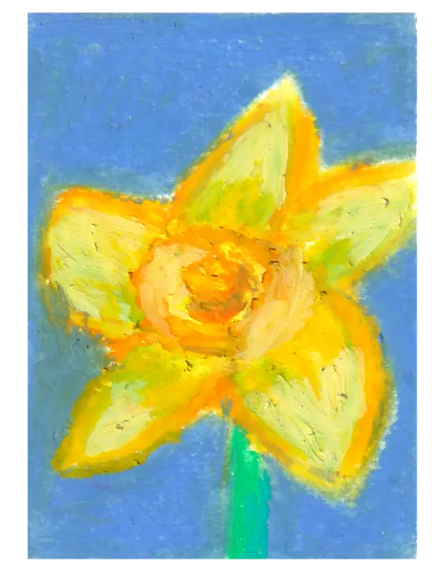 Daffodil aceo art card