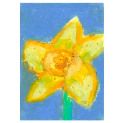Daffodil aceo art card thumbnail 1