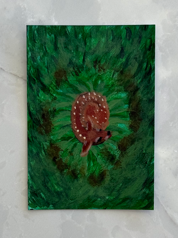 Resting Fawn aceo art card