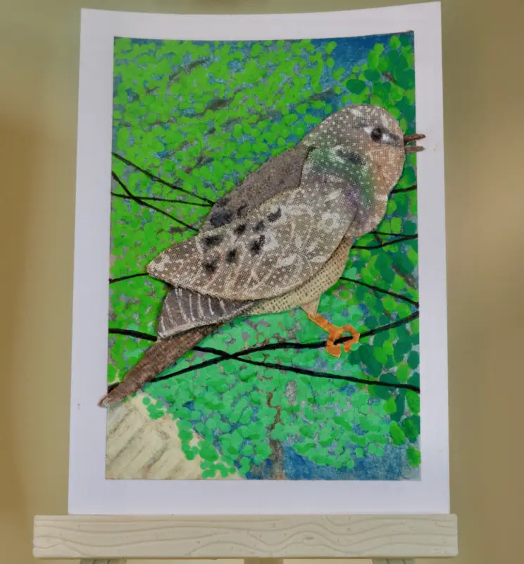 Mourning Dove in Song aceo art card