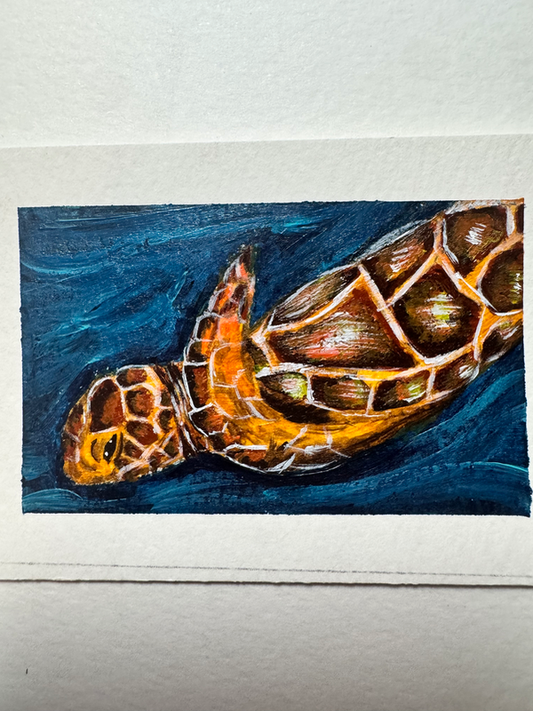 Sea turtle ocean loggerhead turtle acrylic painting Ashley Leary seascape coastal beach aceo art card