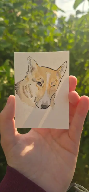 Nox the Winking Corgi aceo art card