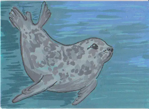 Swift Seal aceo art card