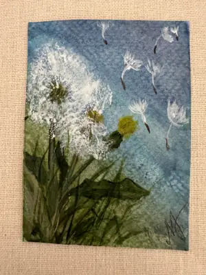 ACEO Original Watercolor Trading Card- "Floating in the Wind" Dandelion Wildflower aceo art card thumbnail 1