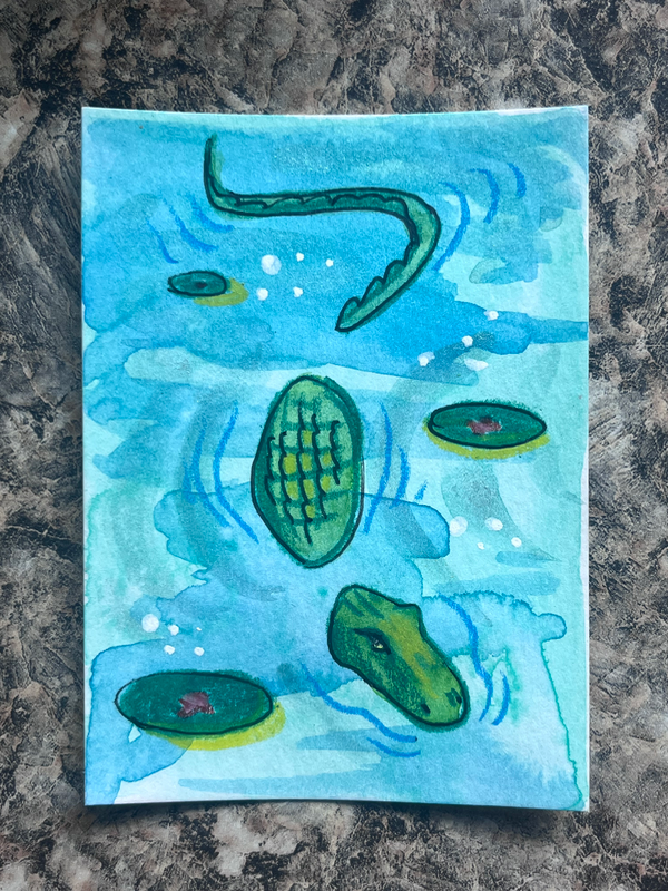 Gator aceo art card