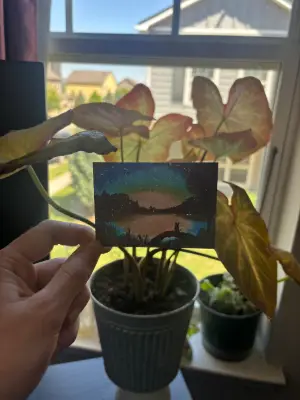 Sunset/Dusk over Lake Landscape Dog Sitting on Log 2.5x3.5 in. SIGNED PRINT aceo art card thumbnail 2