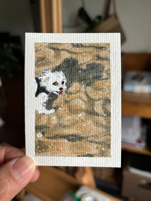 ACEO original, Hughie at the beach aceo art card