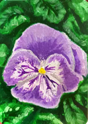 Purple pansy aceo art card thumbnail 2