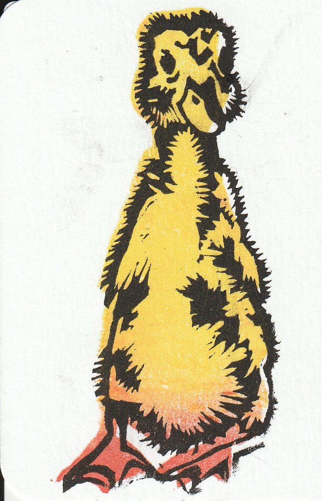 Duckling 3 aceo art card