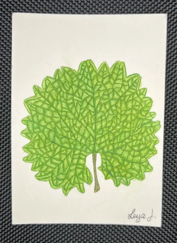 Original - Spring Leaf aceo art card