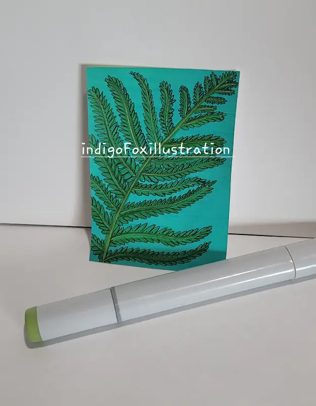 â Ferns in the Forest â Pen Marker Paint - indigoFoxillustration - N.03 - botanical natural plant - aceo art card