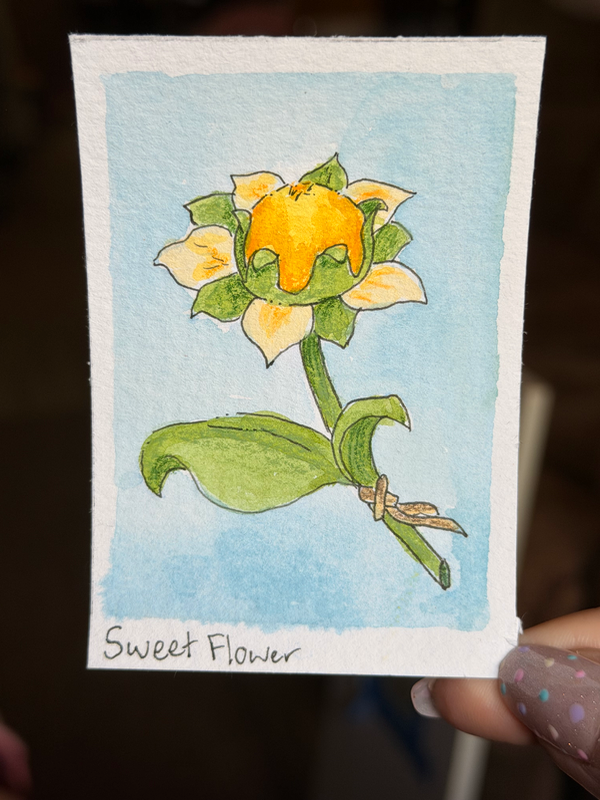 Genshin Sweet Flower aceo art card
