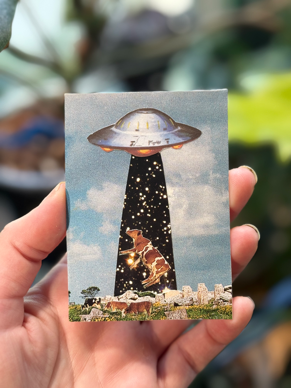 Buy ACEO art | TinyGallery
