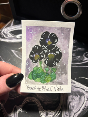 ‘Back to Black’ Viola aceo art card thumbnail 1
