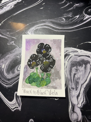 ‘Back to Black’ Viola aceo art card thumbnail 2