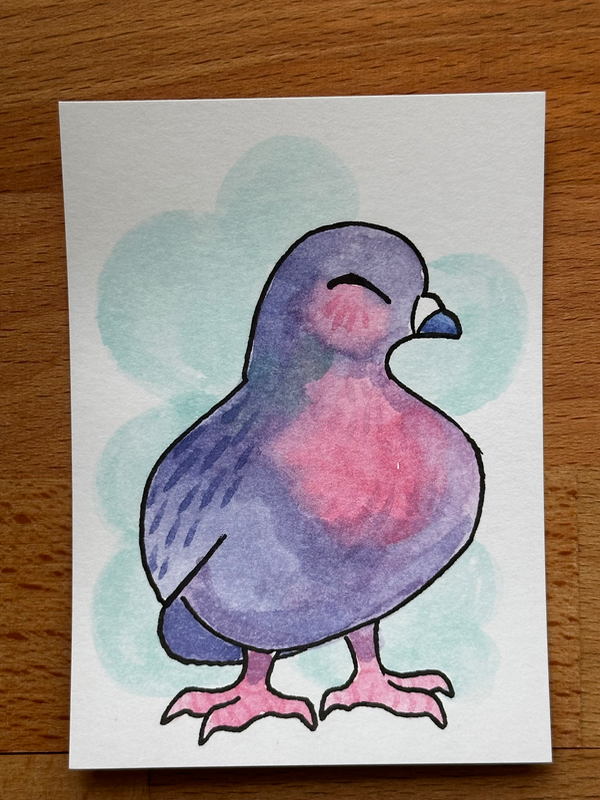Blushing Pigeon aceo art card