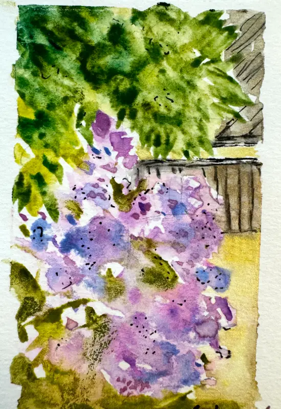 Memory of Lilacs aceo art card