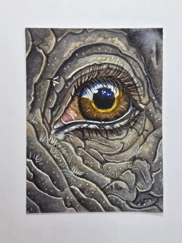 ACEO Original art - Realism, elephant, close up, Animal eyes, African animal - naturebynikki aceo art card